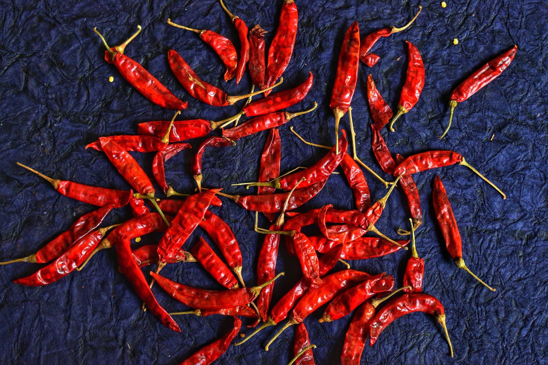 Morita, guajillo y habanero: quién manda en cada salsa
