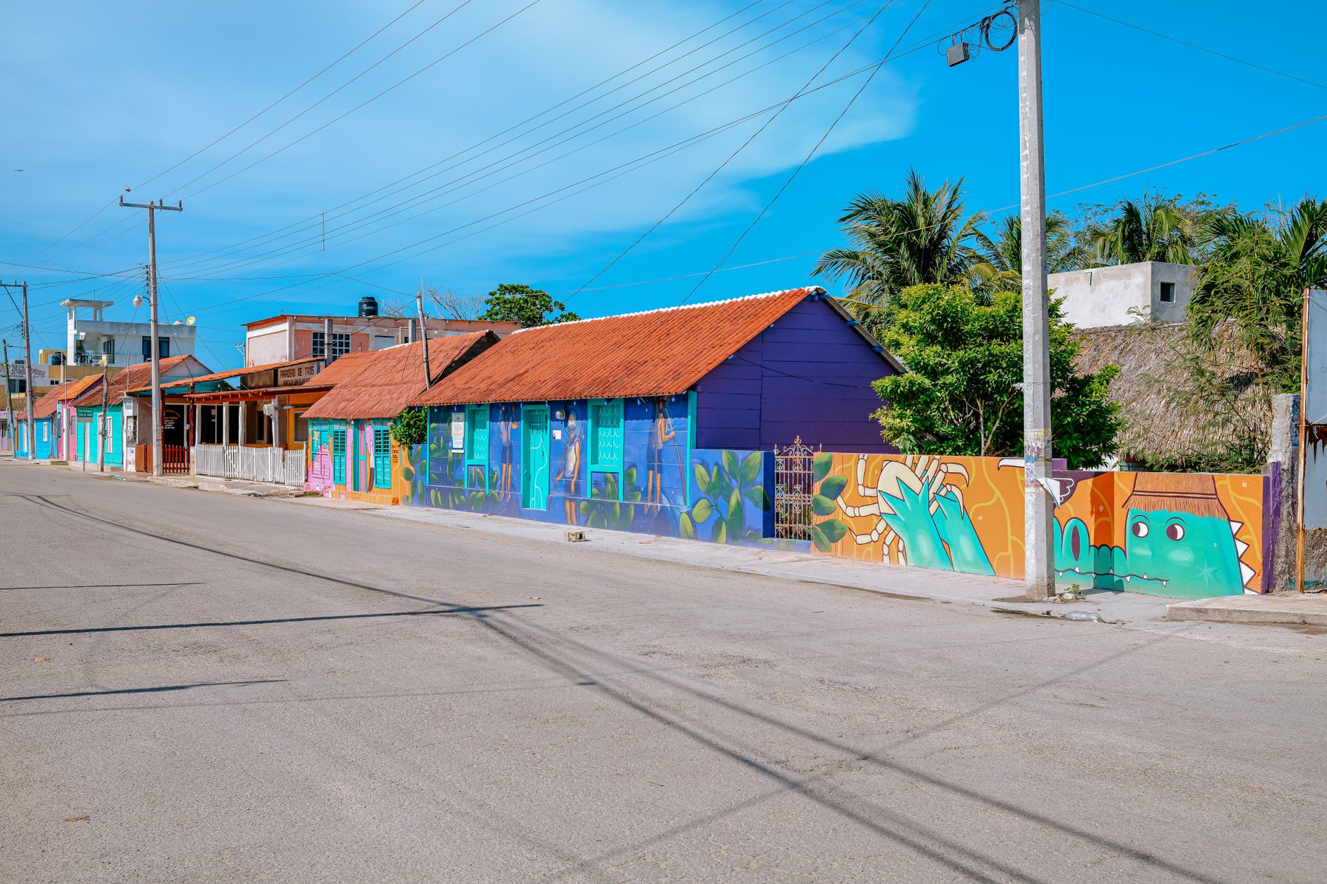Calle de la colonia Roma Norte, Ciudad de México